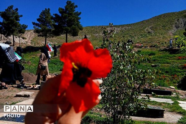 دورهمی دخترانه پاتوق زینبیون در روستای دربهشت 
