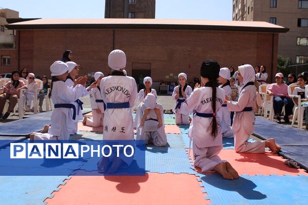 کلید خوردن طرح ملی «میدان پویا» در بهارستان‌دو