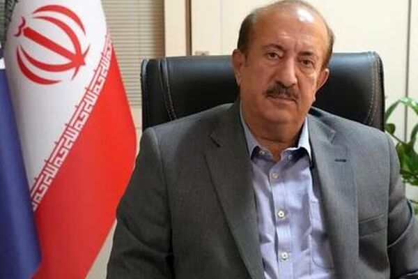 عرضه و واردات خودرو ادامه دارد/ مشکل فولاد و ارز نداریم
