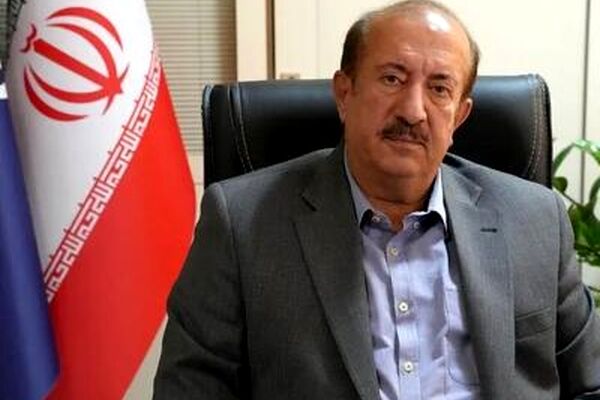 عرضه و واردات خودرو ادامه دارد/ مشکل فولاد و ارز نداریم