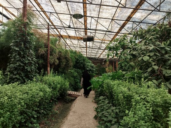 اردوی علمی تفریحی خبرنگاران پانای استان اصفهان