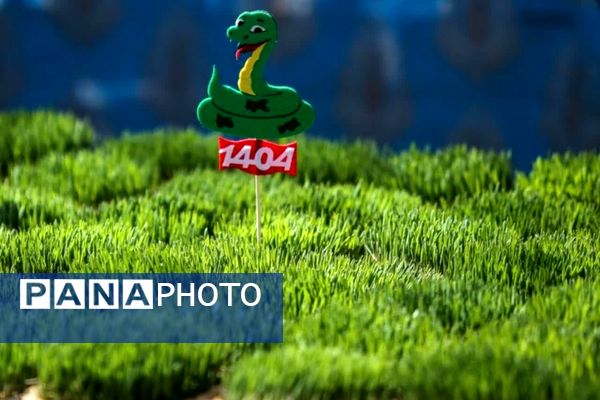 حال‌و هوای مردم شیراز در آستانه سال نو