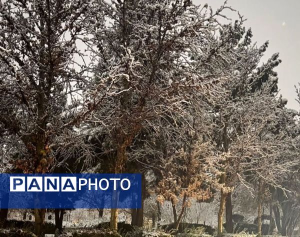 شبی برفی در نیشابور 