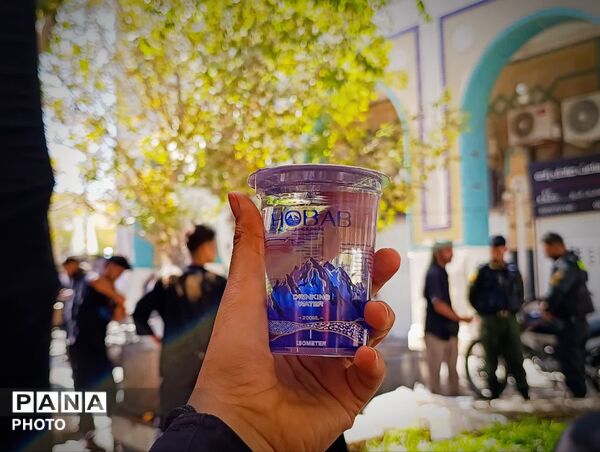 خدمت‌رسانی موکب ها در ایام شهادت حضرت معصومه(س)