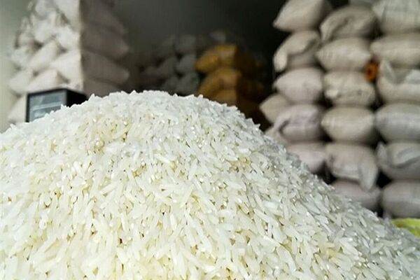 نیمی از واردات برنج محقق شد