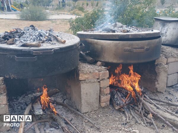 حضور دوستداران اهل بیت در رحلت پیامبر اکرم و شهادت امام حسن مجتبی