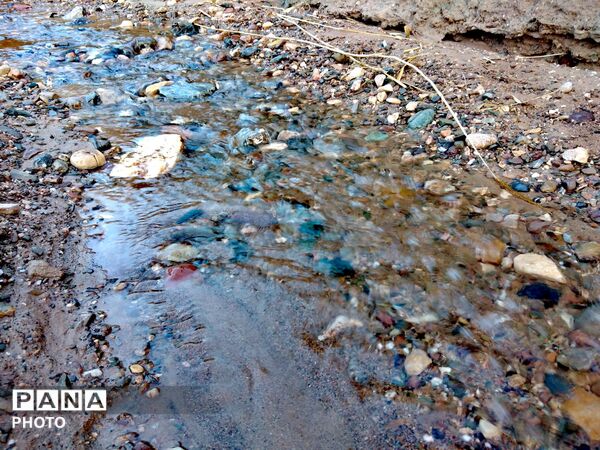 درهٔ پرستو ها در شهر نیشابور