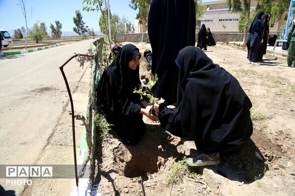 آیین کاشت 168 نهال به یاد دانش‌آموزان شهید میناب در اردوگاه 15خرداد قم