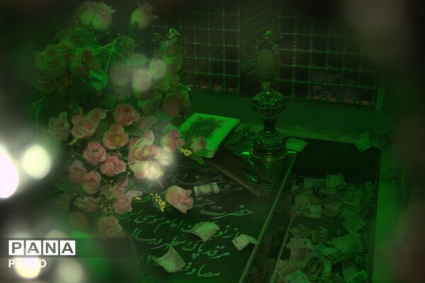پیاده روی ۱۱ کیلومتری عاشقان رضوی در آخرین روز ماه صفر به سمت آستان مقدس  امامزاده حمزه بن موسی (ع)