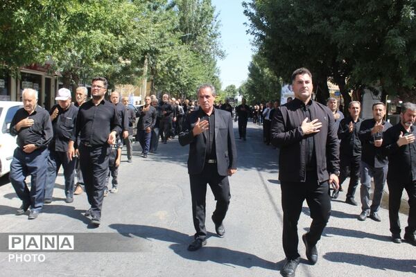 جاماندگان اربعین در ملکان؛ هم‌قدمی با کاروان عشق حسینی