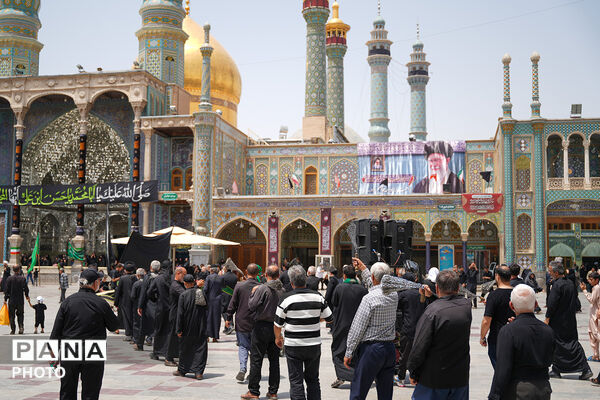 حضور دسته‌جات عزاداری سالروز شهادت امام حسن مجتبی(ع) در حرم حضرت معصومه(س)