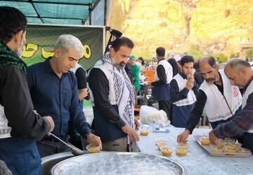 پیاده روی ولایت به مناسبت شهادت امام رضا علیه السلام در شهرستان جم