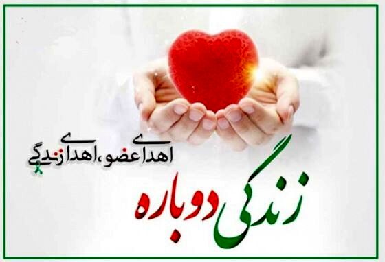 با فرارسیدن روز اهدای عضو، این عمل انسان دوستانه بار دیگر ناجی جان‌ها می شود