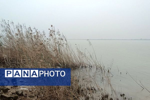 از تهران تا شلمچه، مسیر عشق و افتخار