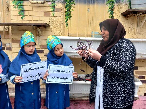 قدم به قدم با کاشت درخت تا سرزمینی سرسبز