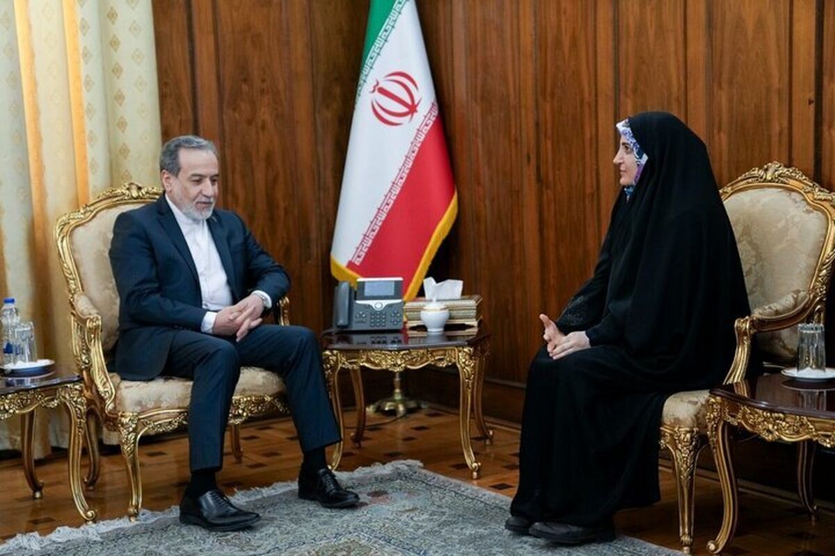 پیام مهدیه اسفندیاری پس از دیدار با عراقچی