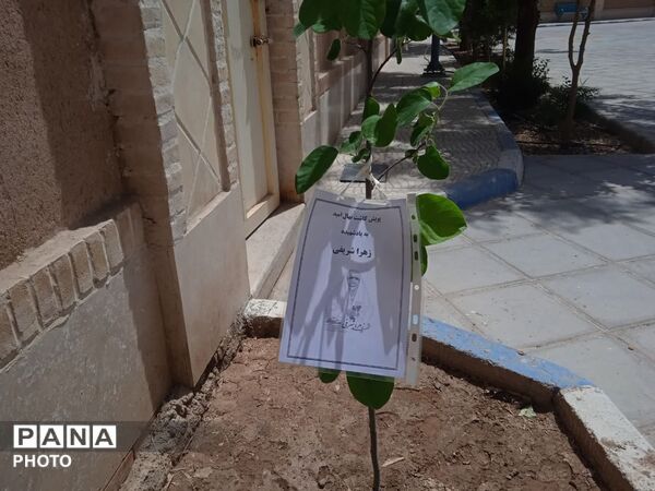 کاشت نهال امید در دبستان دخترانه شاهد پوررضایی ناحیه دو یزد