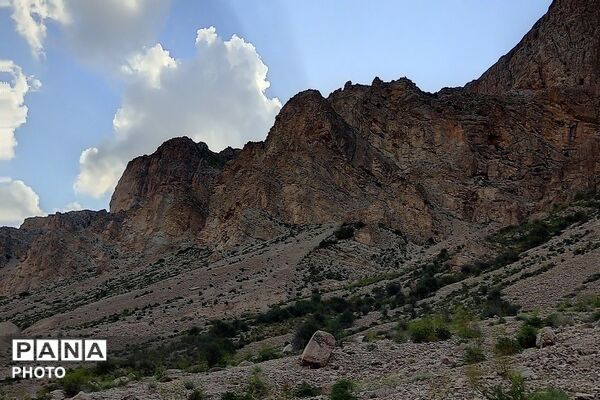کوه های شهر بار ذخیره‌گاه گیاهان ارزشمند و کم نظیر دارویی 
