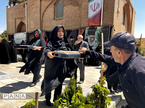 پیاده روی اربعین از میدان سپاه هشتگرد تا امامزاده هادی ینگی امام