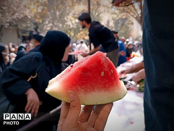 خدمت‌رسانی موکب ها در ایام شهادت حضرت معصومه(س)