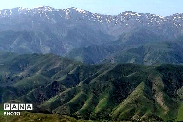 کوه های شهر بار ذخیره‌گاه گیاهان ارزشمند و کم نظیر دارویی 