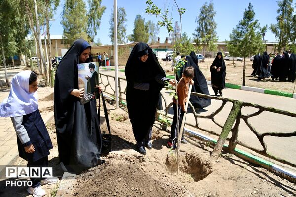 آیین کاشت 168 نهال به یاد دانش‌آموزان شهید میناب در اردوگاه 15خرداد قم