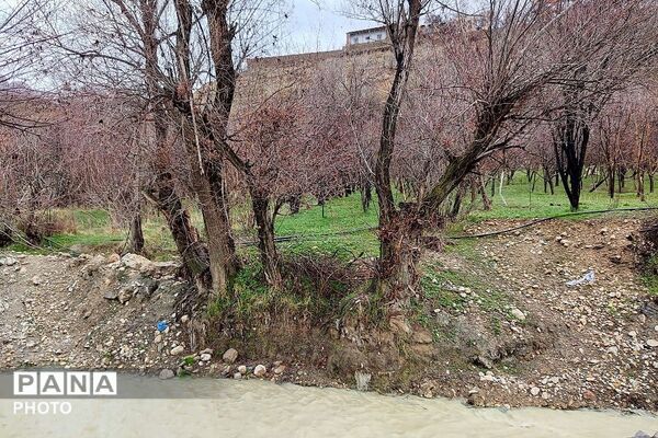  بارش باران در شهر بار 