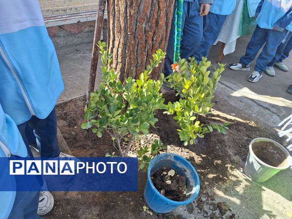 مراسم روز درختکاری در دبستان استاد شهریار 