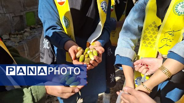 سومین اردوی تمشک کهگیلویه‌ و بویراحمد