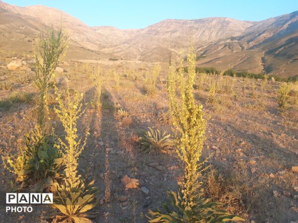 منظره ی دیدنی طبیعت کوه های شهر بار 