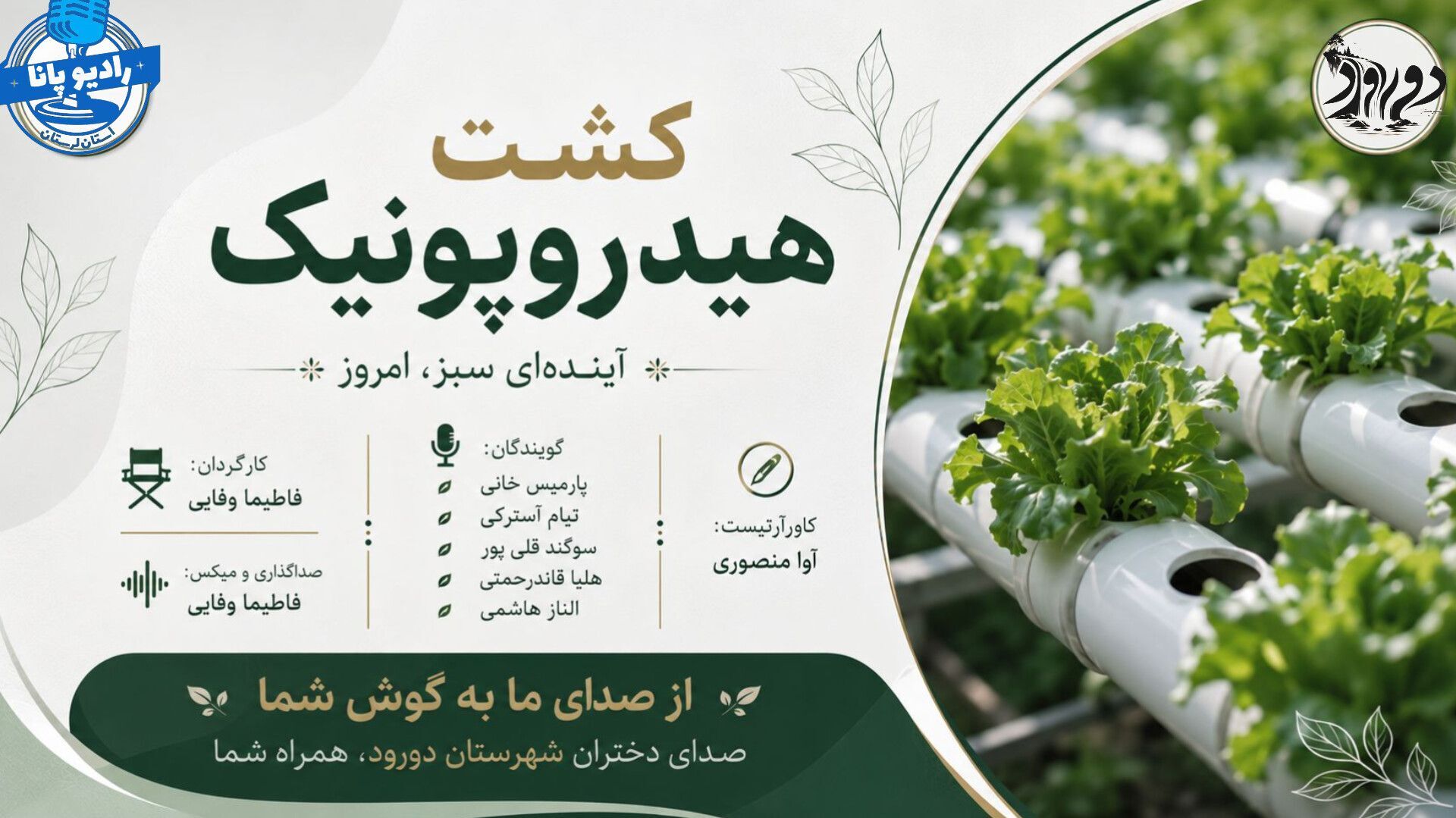 کشاورزی بدون خاک؛ آینده‌ای سبز با آب کمتر