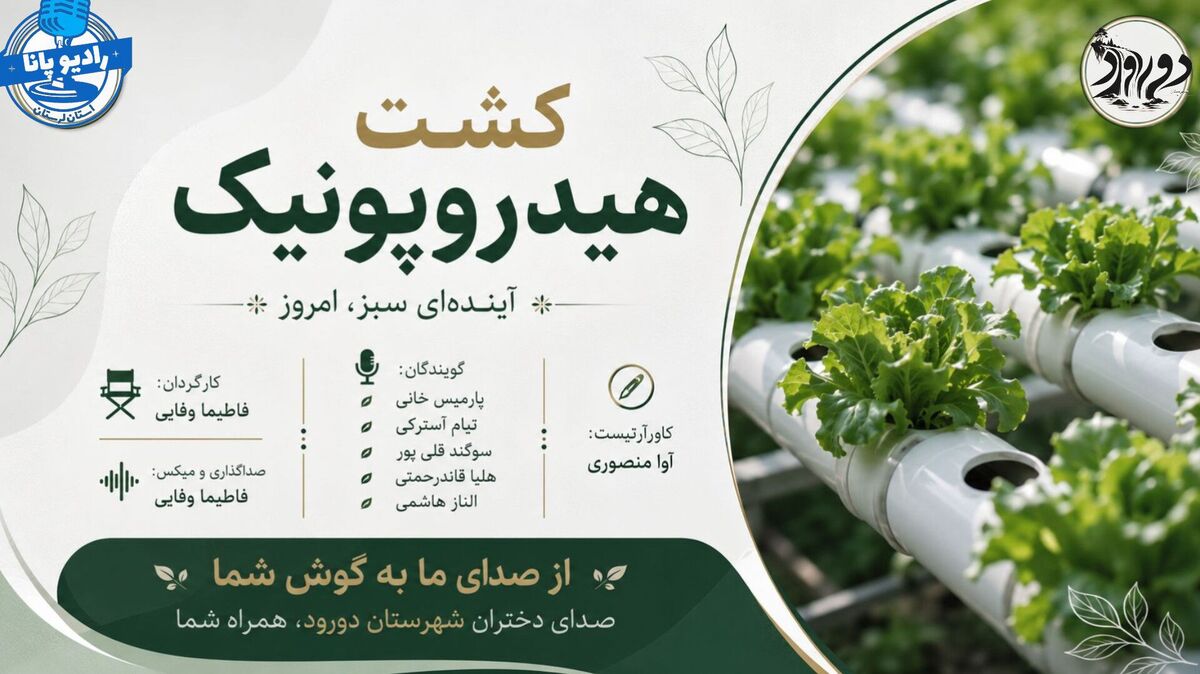 کشاورزی بدون خاک؛ آینده‌ای سبز با آب کمتر