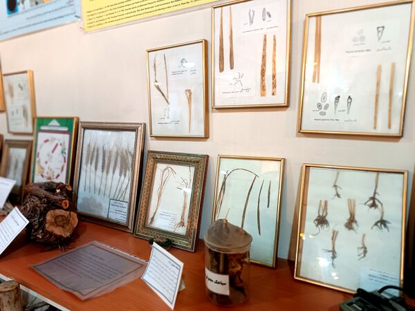 گام خبرنگاران در مسیر تنوع زیستی