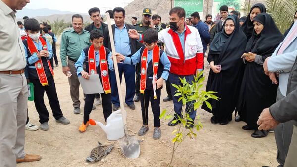 مراسم نمادین کاشت نهال در حاجی‌آباد 