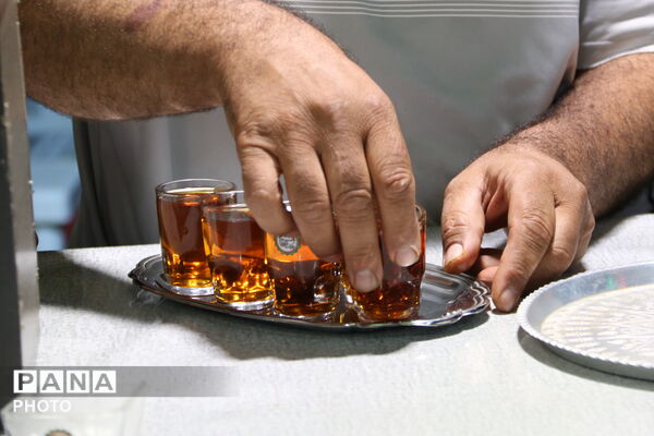 ۲۲۷ شب چای‌نذری؛ روایت خدمت موکب‌های یزد