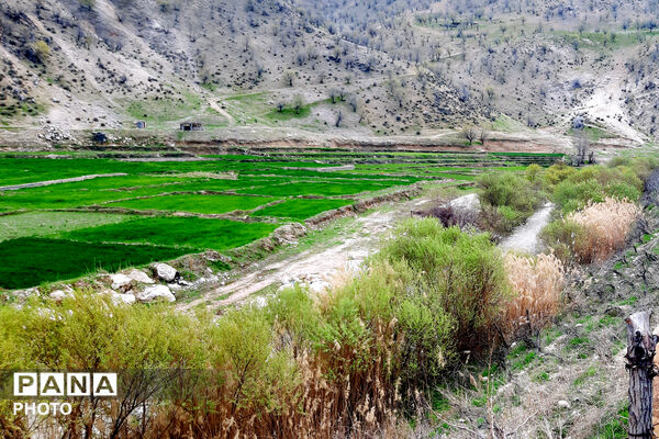 طبیعت روستای بیدله به هنگام بهار