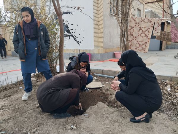کاشت درخت در هنرستان بصیرت آشخانه