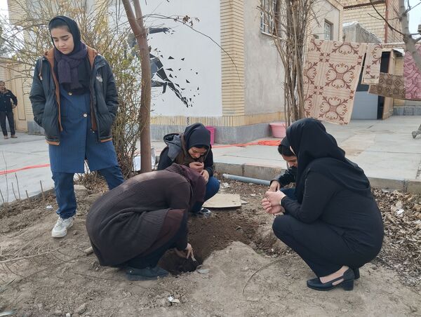 کاشت درخت در هنرستان بصیرت آشخانه