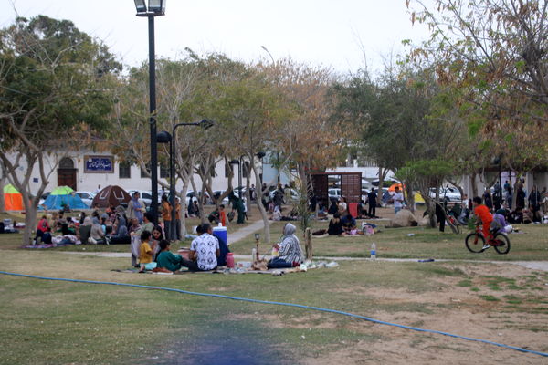 روز طبیعت در بوشهر