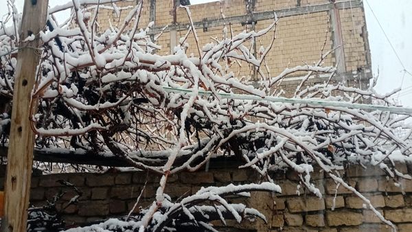 مارکده در آغوش سپیدی برف