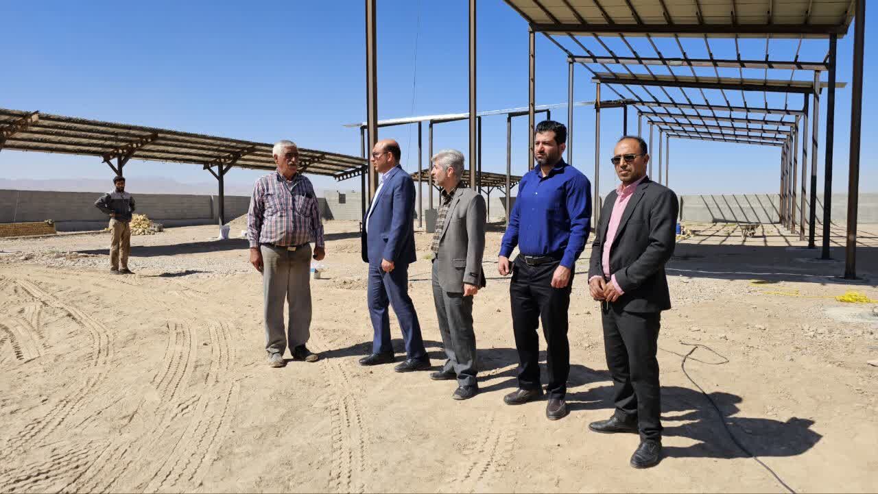 بازدید از طرح در حال احداث پرورش گاوشیری صنعتی
