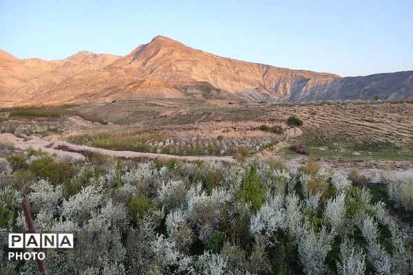 آلبوم تصویری از طبیعت زیبای شهر بار در اردیبهشت‌ماه  ۱۴۰۵ -1