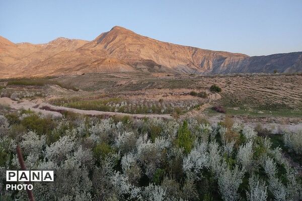 آلبوم تصویری از طبیعت زیبای شهر بار در اردیبهشت‌ماه  ۱۴۰۵ -1