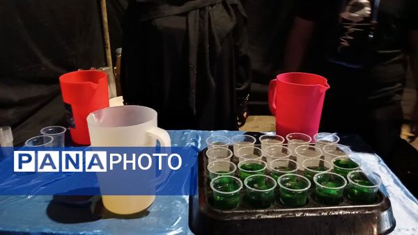 خدمات‌رسانی موکب‌های یاسوج به عزاداران حسینی در معابر و مساجد شهر