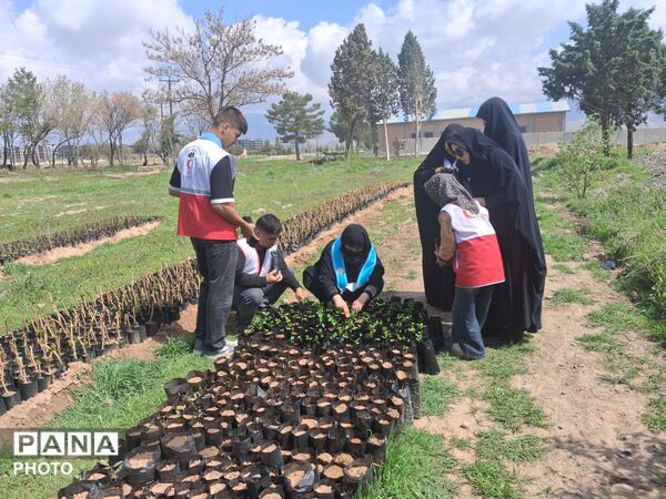 کاشت نهال به یاد شهدا  در نیشابور
