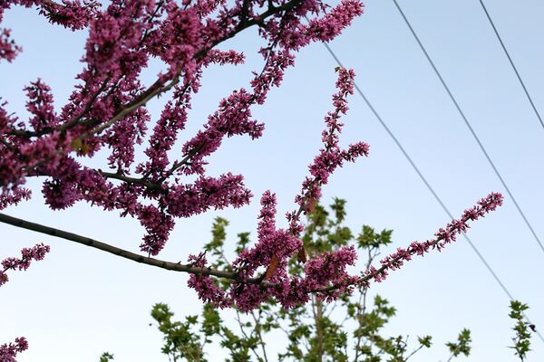 ارومیه شهر رویایی