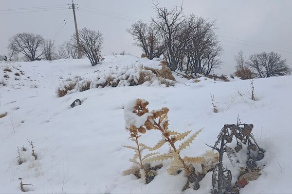 بارش باران و برف زمستانی در روستای کینک