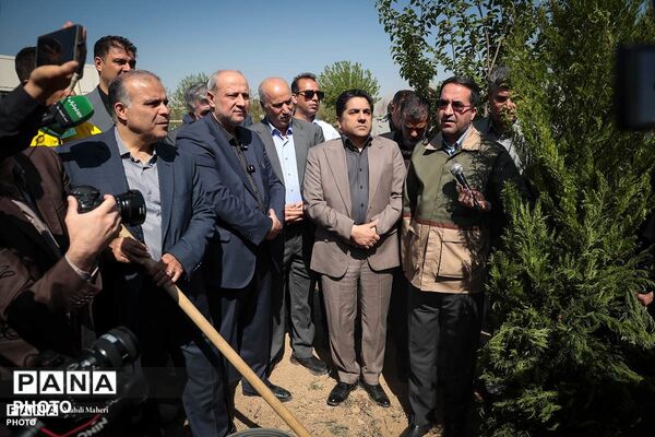 پویش «درخت‌‎کاری سرو ایران»