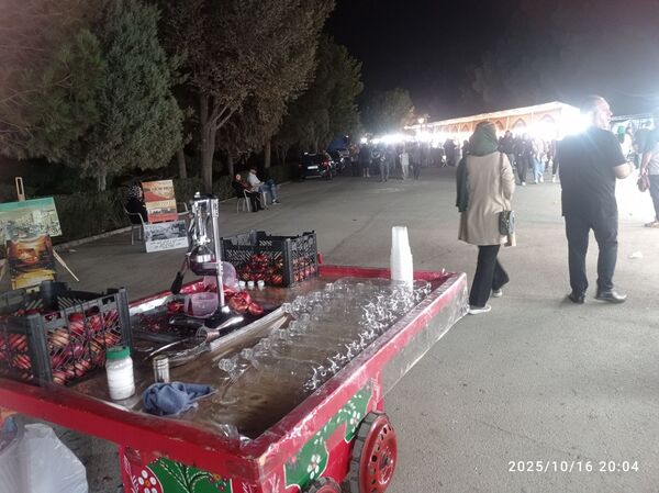  نمایشگاه صنایع دستی و سوغات کرج در کاخ مروارید کرج 