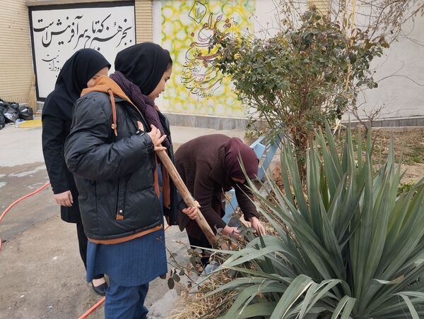 کاشت درخت در هنرستان بصیرت آشخانه